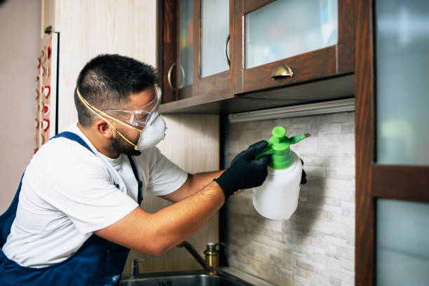Best Bed Bug Extermination  in Glenvar Heights, FL