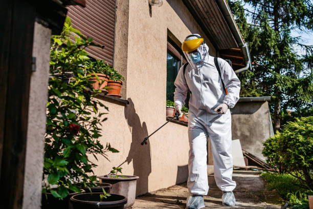 Best Termite Control Services  in Glenvar Heights, FL