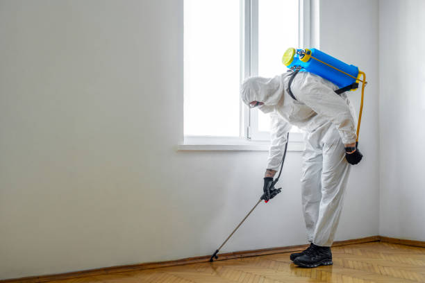 Best Best Pest Control Companies  in Glenvar Heights, FL