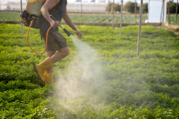 Best Pest Control for Businesses  in Glenvar Heights, FL
