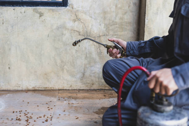Best Emergency Pest Control  in Glenvar Heights, FL