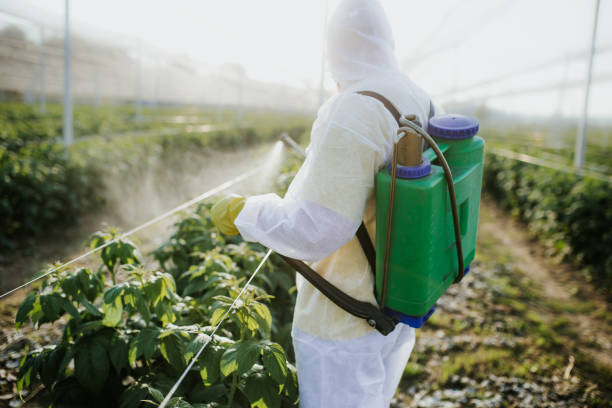 Best Pest Prevention Services  in Glenvar Heights, FL